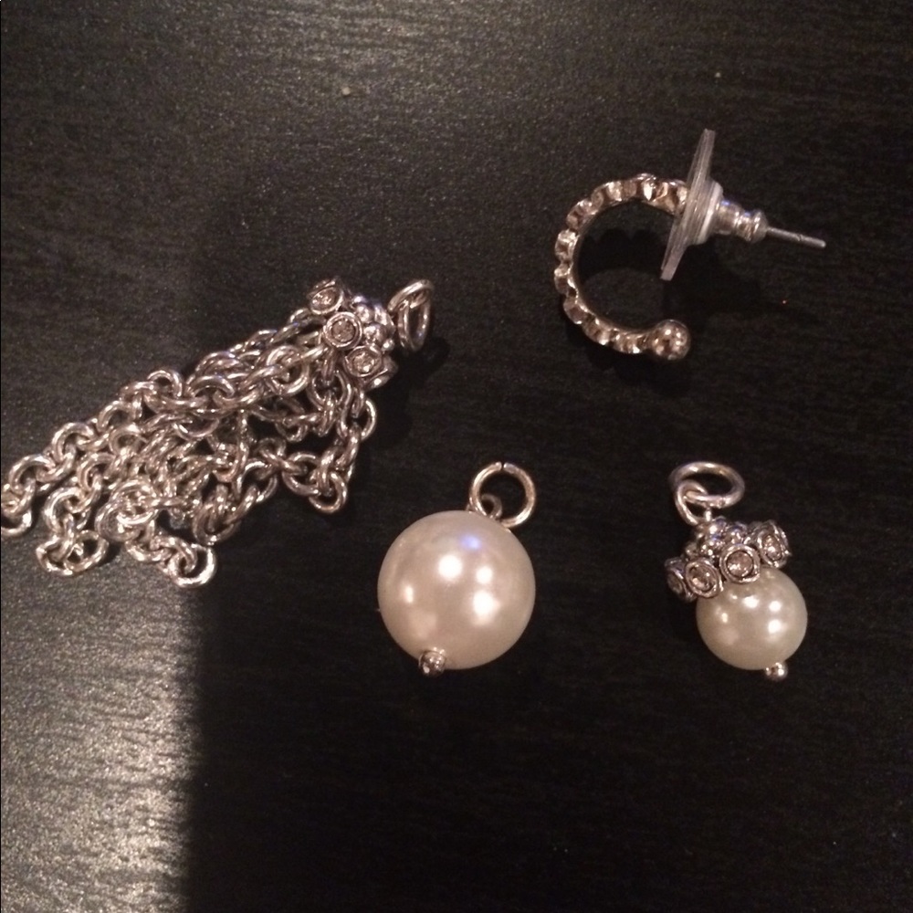 GIRLS BEST FRIEND Earrings by Premier Designs